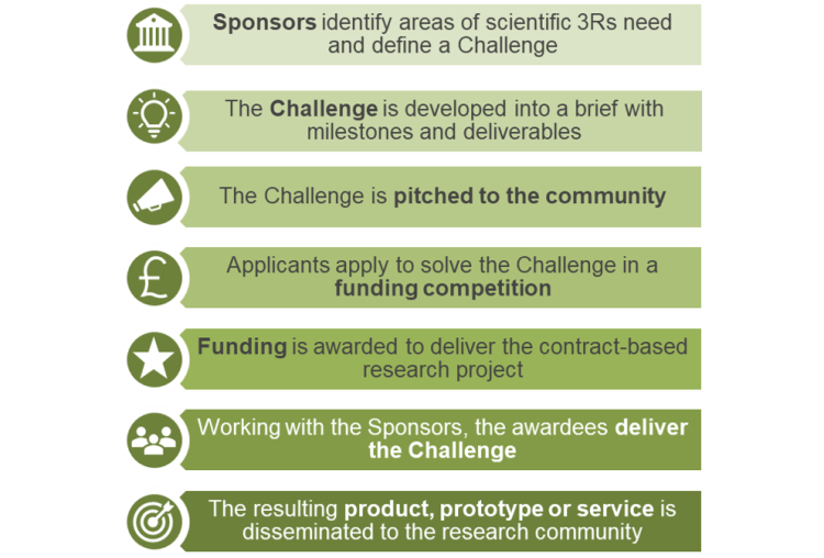 challenge-types-and-process-innovation-platform